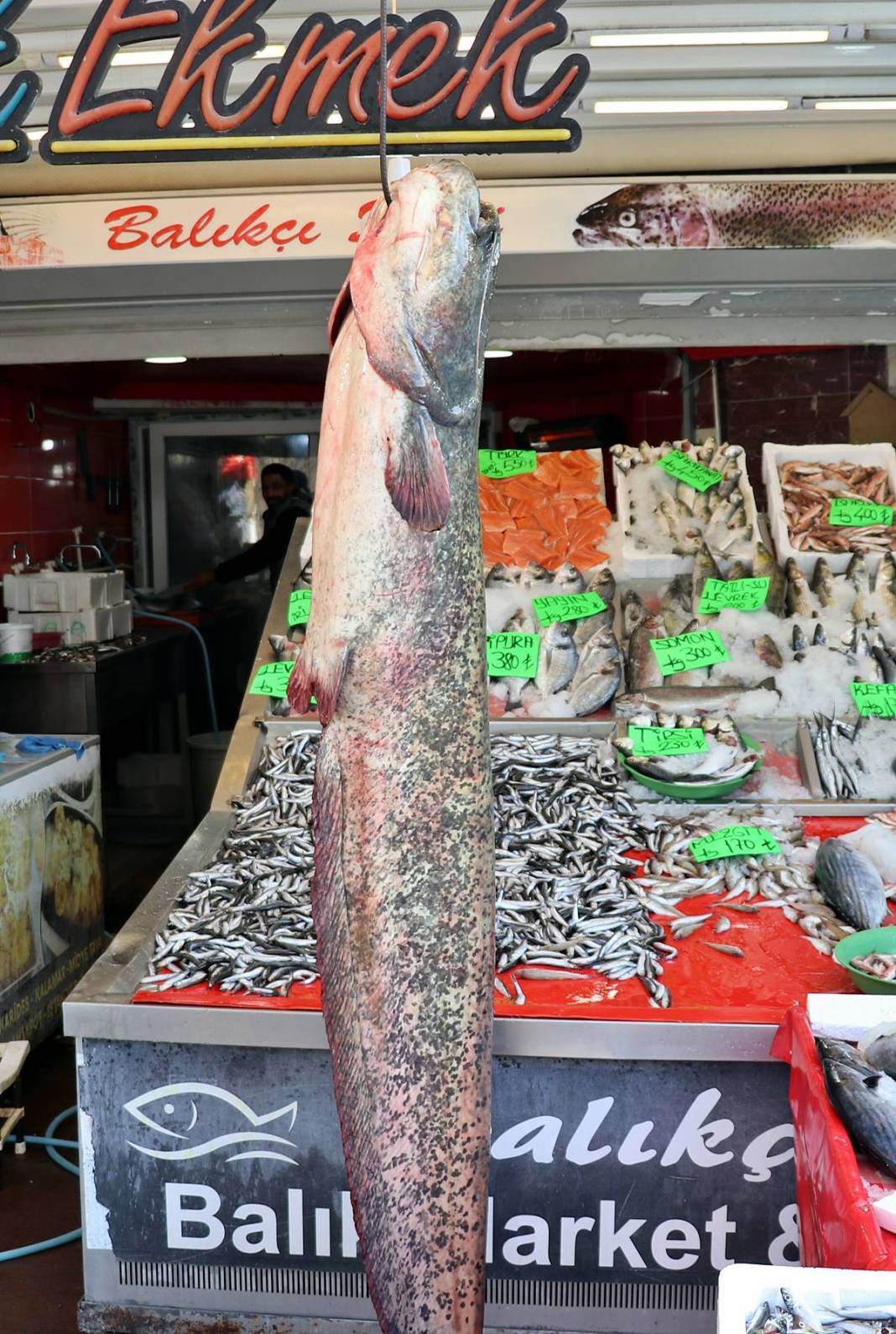 Denizi olmayan o kentte yakalanan dev balık şaşırttı! Fotoğraf çektirmek için sıraya girdiler 2
